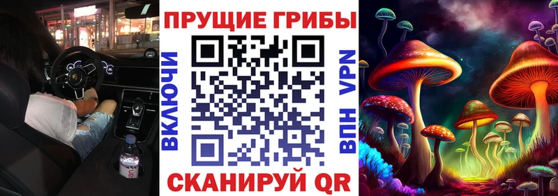 Псилоцибиновые грибы прущие грибы  Теберда 